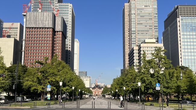 ふと思い立ち、皇居周辺に行ってみることにしました。<br />関東に引越して数年経ちますが、東京都は知らないところばかりです。<br />日本人ながら皇居周辺も、子供の頃に修学旅行で訪ねて以来、シニア世代になるまで全く訪れたことがありませんでした。<br />子供時代の記憶はほとんどありません。テレビで見るだけではあまりに残念なので、朝起きて急に思い立ち、電車に乗りお出かけしてきました。