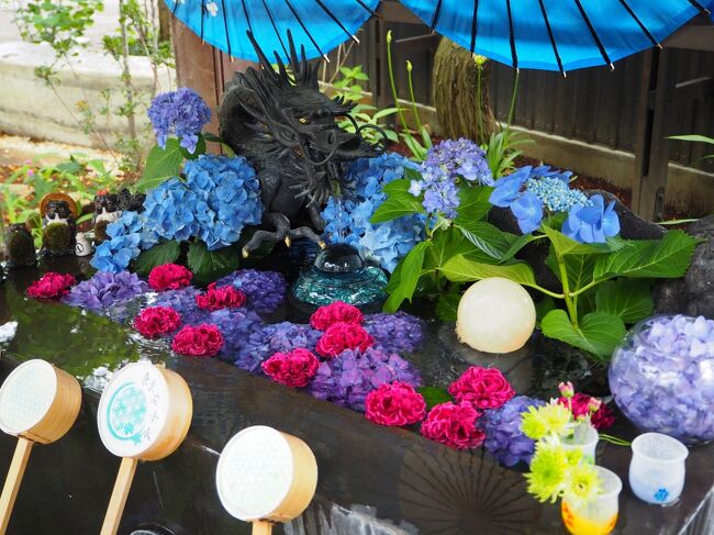 早稲田にあるリーガロイヤルホテル東京でビュッフェランチの後、花手水で知られる法輪寺に参拝。6月らしく紫陽花が多めで、カラフルな花手水を見て、6月限定の紫陽花の絵の入った御首題をいただいてきました。境内に少し咲いていた紫陽花も綺麗でした♪<br /><br />よろしければご覧ください～。