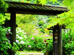 新緑と紫陽花の『東雲の里』