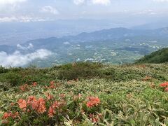 レンゲツツジ咲く北信五岳「飯綱山」登山