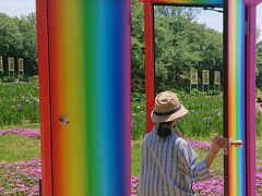 咲き始めの花菖蒲・百合　アートな民宿泊　福井の旅