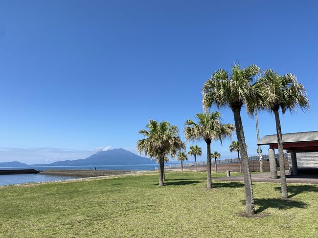 京都から鹿児島市内に引っ越して1年住み、その後霧島市に引っ越して3年半になりました。近場で一番よく訪れるのが国分海浜公園。昨年は33回訪れ、今年は4回目になりました。<br /><br />ここに来たらまず往復4.6Kmのウォーキングコースをスカウトペースで歩きます。昔ボーイスカウト時代にやっていた40歩走って、40歩歩くという歩き方ですが、歩くより2倍近く早い割には疲れが少ないのです。60過ぎには丁度良いトレーニングになります。<br /><br />そしてここのコースの眺めがとても気に入っています。桜島はもちろんのこと、神造島(ひょっこりひょうたん島と私は呼んでます)、私の愛する高千穂峰をはじめとする霧島連山が歩きながら眺められ、時には遠く開聞岳が見えることもあります。ウグイスが可愛い鳴き声を聴かせてくれたり、ツバメはほぼ一年中飛び回っています。<br /><br />なんといっても椰子の木が南国気分を高めてくれるのです。<br />今年は何回来るかな ?<br /><br />国分キャンプ海水浴場 についてはチコラをご覧下さい<br />https://4travel.jp/travelogue/11751021