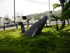 今年も行ってきました小笠原・母島