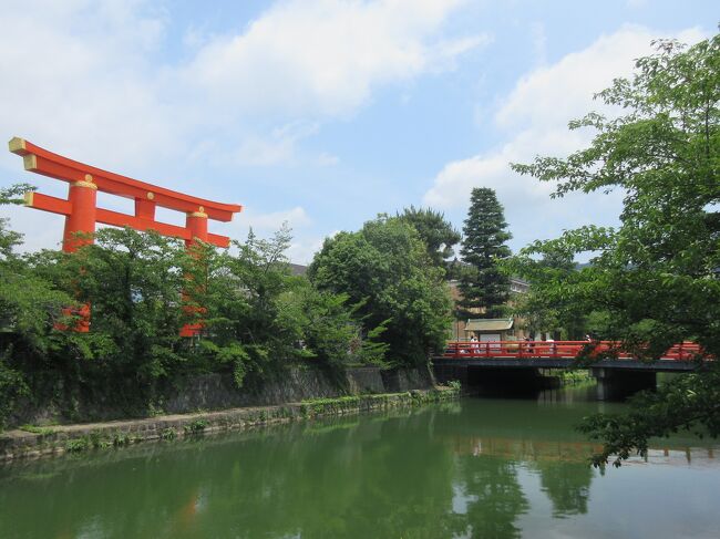 平安神宮の神苑が無料公開日に京都観光に行きました。<br />岡崎公園→京都府立図書館→平安神宮→京都市バスで移動→冠者殿社(四条河原町)と観光しました。