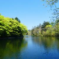 【中山道】14-1　軽井沢を歩こう！　あれ、碓氷峠はどうしたの？　気にしない気にしない！だってみんなが浮かれるGWだもん。（19番沓掛宿）