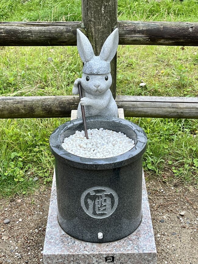 広島に出張したので、いっぱい寄り道しました（6）出雲大社に参拝