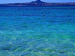 沖縄-7　海洋博公園b  伊江島-Beach鮮烈　☆イルカ・海牛/マナティー・ウミガメも近くに