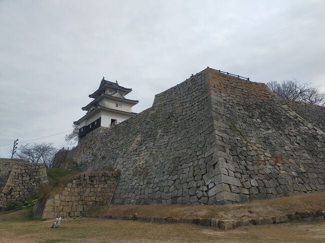 11月の岡山散策から国内旅行のテーマに日本100名城、続１００名城が追加されました。と云うことで今回はお城巡りをメインに散策します。因みに四国（讃岐・阿波）は初上陸です。