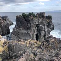 のんびり伊豆旅行＊1泊2日＊大室山、城ヶ崎海岸、エクシブ伊豆