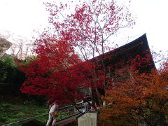 11月山形・蕎麦を喰らう旅①山形編