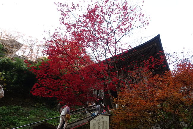 11月山形・蕎麦を喰らう旅①山形編