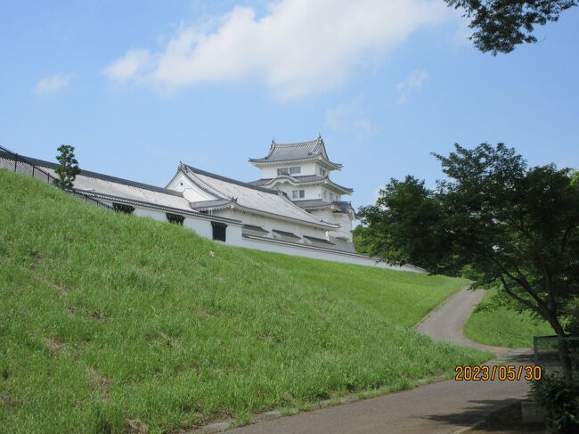 【千葉県民でも一度も訪れたことが無い関宿城が千葉県の最北端にある。関宿城（せきやどじょう：模擬城）は江戸城防衛もあって、徳川家の譜代大名が代々の関宿藩藩主を務めた。】<br /><br />産経新聞に、今週は【七十二候・紅花栄（べにばな　さかりなり）：染料となる紅花がいっせいに咲きそろう、5月26日～31日）】と小さく載っていた。<br /><br />3月下旬以来、千葉の北総（ほくそう：主に千葉県北部地域）を走り、各地の春の花を見物している。 <br /><br />今日（2023年5月30日）、故郷の青梅に墓参りをしようと、行程を考えた。<br /><br />千葉県民となって50年近くになるが、一度もこの千葉最北端にある関宿（せきじゅく　と呼んでしまうが、正しくは「せきやど」である）の地を訪れたことが無かったので、ここ経由で青梅に行く事に決めた。<br />この日の気温は26度、快晴である。 　<br /><br />写真は千葉県立関宿城博物館=関宿城（現模擬城）