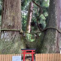 2023.06の旅ー③長谷寺、龍穴神社、室生寺