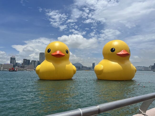 2023年の海外旅行、どうしてもどこかへ行きたい！という衝動に駆られて香港へ行くことに決めました。<br />香港エクスプレスがセールをしていたので、チケットを購入。しかし、コロナ前に比べると、相当高いなぁ。<br />しかも、日帰りという強行で行くことにしました。香港は物価がべらぼう高くなって、1泊を抑えるために。いや、本当は1泊してもよかったかな。<br /><br />香港エクスプレスチケット<br />6/10 (土)　羽田(01:00)→香港(4:40) <br />6/10 (土)　香港(17:35)→羽田(22:50)<br />41220 JPY<br /><br />まさか２匹のアヒルに出会えるとは思わなかった。なので、行ってよかったということにしておこう。