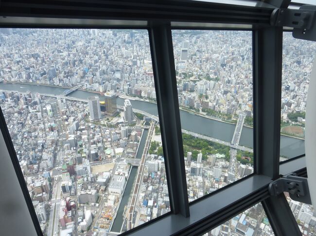 旅行ではないのですが、東京に住んでいた（東中野）時にかかっていたクリニックに今でも定期的に福岡から通院しており、今回はその為に東京に行って来ました。<br /><br />１泊で行く事も多いのですが、今回は往復とも特典航空券利用だったので、東京で２泊し、今まで東京で行った事がない観光スポットなどにも行って来ました。<br /><br />日程・行程は下記の通りです。<br /><br />６月１８日（日）<br /><br />福岡　０９：１５－ＪＡＬ３０６（ファーストクラスに当日有料アップグレード）－羽田　１０：５５<br />※当日アップグレード料金：１１，０００円<br /><br />・羽田空港から秋葉原に移動して、宿泊する秋葉原ワシントンホテルに荷物預け<br /><br />・神田神社（神田明神）参拝<br /><br />・秋葉原ワシントンホテルにチェックイン（１４：００～）<br /><br />ホテル公式サイト：https://washington-hotels.jp/akihabara/<br /><br />・柳森神社参拝と界隈散策<br /><br />・名代 箱根そば 秋葉原店で早めの夕食<br /><br />秋葉原ワシントンホテル　泊<br />JALイージーホテルサイトで予約（早決２８＆期間限定タイムセール）<br />シングル　JALマイル３００マイル付き　６，０５０円（素泊り）<br /><br />６月１９日（月）<br /><br />・ホテルから東京スカイツリーに移動<br /><br />・東京スカイツリー展望デッキ・天望回廊入場<br /><br />・東京スカイツリー～三越日本橋店～ホテルに移動し、途中の大阪王将 岩本町店でランチ弁当のテイクアウト<br /><br />・ホテル～新宿～ホテル<br /><br />秋葉原ワシントンホテル　泊<br />JALイージーホテルサイトで予約（早決２８＆期間限定タイムセール）<br />シングル　JALマイル３００マイル付き　６，６００円（素泊り）<br /><br />６月２０日（火）<br /><br />・東中野のクリニックで受診<br /><br />・東中野から羽田空港に移動<br /><br />・早々にサクララウンジに入って、ラウンジ内で昼食＆飛行機ウォッチング<br /><br />羽田　１６：００－ＪＡＬ３２５（クラスＪに当日有料アップグレード）－福岡　１７：５０<br />※当日アップグレード料金：２，２００円