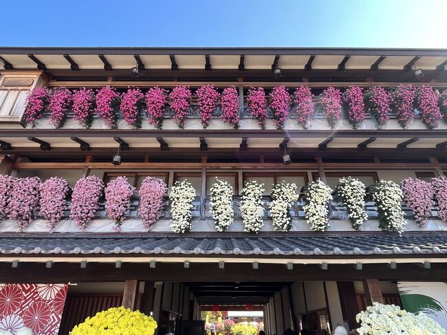 今年も栗の季節がやってきましたね。吉永小百合さんのＣＭが笠間になったのでいそいで昨年の１１月中旬の関東の栗の名所笠間の菊まつりと日動美術館、春風萬里荘の紅葉の旅行記です。<br />日本三大稲荷と言われている笠間稲荷神社にはもちろん何度か来たことがあったのですが菊まつりには初めての訪問です。笠間の菊まつりは菊人形や表彰された菊が並んでいるだけではなくて菊がとてもいっぱいで色々な飾り方をされ、一番大好きな菊まつりでした。<br />紅葉の時期で、最後に栗スイーツを「栗のいえ」さんで食べました。とっても美味しくて、また同じコースで今年も行きたいくらい全部気に入ってしまいました。<br />ただ一つ道の駅は夕方になると品物少なめで残念でしたが。