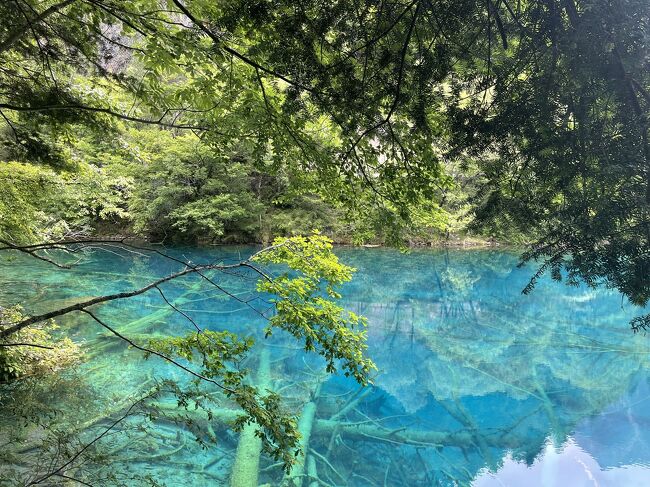 上海発九寨溝、黄龍、神仙池観光の旅です。<br />移動日含めて4泊5日の旅です。初日と最終日は完全に移動日で、観光は無しです。<br /><br />1日目 移動（上海ー成都ー黄龍）<br />2日目 九寨溝<br />ホテルを九寨溝入り口から歩いて5分のところにしていたので、比較的ゆっくりスタートです。<br />朝ホテルの朝食をいただいて、ウィチャットのミニプログラムから九寨溝入場券（280元）を手配、9時ごろホテル発で九寨溝へ。景区に入るにはパスポートさえ持っていれば入れます。<br />景区内はバスがありますので、1日あれば全て観光できます。<br />3日目 黄龍<br />前日に手配した借り上げ車（1日 400元）で黄龍へ。九寨溝付近のホテルからは車で2時間弱かかりました。こちらもウィチャットミニプログラムからチケットを手配していましたが、パスポート利用者のため、入り口で紙チケットを取る必要がありました。<br />ロープウェイ乗り場で車を降りて、そこから景区に入場しました。ロープウェイでまず上まで上がり、それ以降は徒歩で周りきりました。<br />4日目 神仙池<br />3日目の運転手さんに勧められて、来ることを決定。同じ運転手さんをまた1日400元で手配し、車で1時間半くらいかけて神仙池へ。九寨溝と黄龍の良いとこどりをしたような場所です。観光客もほとんどいなく、ゆっくり観光できるところでした。<br />5日目 移動日（黄龍ー成都ー上海）