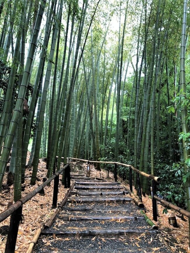 2泊3日　JR東海 ずらし旅  初夏の京都を歩く　１日目 雨の中の街歩き