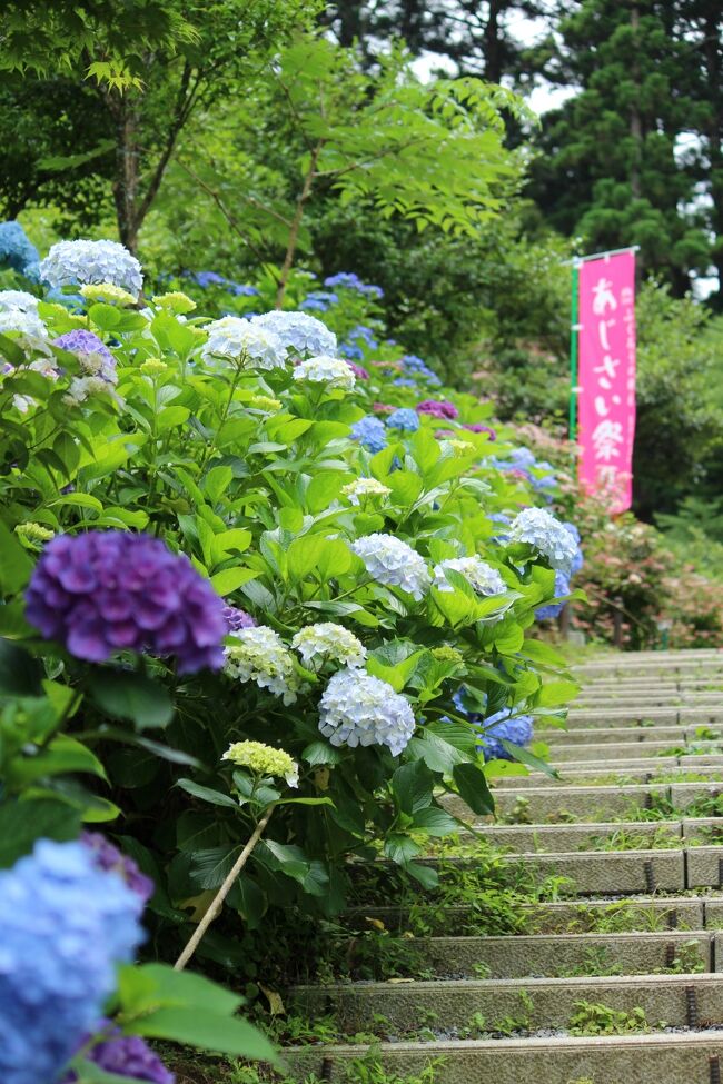 2022年のゴールデンウィークに鷲子山上神社に参拝して(cf.→【https://4travel.jp/travelogue/11753030】)すっかり気に入った主人が「また行きたいなぁ」と言っていたので、紫陽花の時期を提案してみました。<br />山の中だからか、ちょっと開花時期は遅めで6月下旬から7月上旬が見頃らしいので、6月の終わりに休みを合わせて行ってきました。<br />2023年度版の道の駅スタンプブックも手に入れたので、道の駅もいくつか回ってみました。