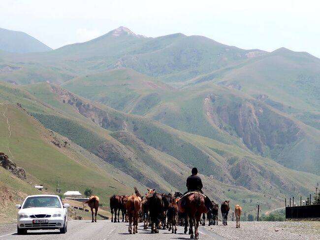 ２０２３年の海外旅行第二弾は、念願の中央アジア、カザフスタン・ウズベキスタン・キルギス３か国への旅。その中で一番の目的地はキルギス。旅行時期もキルギスの一番いい季節に合わせた。しかし、その結果カザフスタンのアルマトイ、ウズベキスタンのタシケントやサマルカンドは、猛暑の中の観光となっが、それでも何とか無事観光を終えることが出来た。その後、ウズベキスタンからキルギスへの入国でミスをしてしまったが、無事にキルギス入国を果たし、約二週間のキルギスの旅が始まることになった。<br />本編（その７）は、オシに入国後、最初の目的地であるレーニン峰を間近かに望むサリモゴルの村までタクシーで移動したときの旅行記です。途中の景色も思いがけず素晴らしい絶景の連続でした。<br /><br />＜本旅行の大まかな日程(予定）＞<br /><br />6/16 成田ー＞アルマトイ（カザフスタン）<br />6/18 アルマトイー＞タシケント（ウズベキスタン）<br />6/19 タシケントー＞サマルカンド<br />6/20 サマルカンドー＞タシケント<br />6/21 タシケントー＞アンディジャンー＞オシ（キルギス）<br />　（　6/22～7/5　キルギス滞在　）<br />7/6 ビシュケク(キルギス）ー＞アルマトイ（カザフスタン）<br />7/7 アルマトイー＞成田（7/8)２