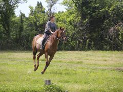 乗馬にはポニーテールがよく似合う