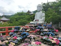 壺阪寺であじさい巡りと高取くすり資料館