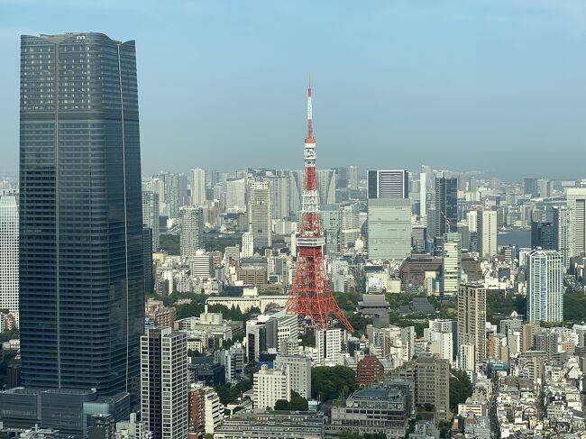 個人的に東京のシンボルと言えば東京タワーだと思っています。<br />赤と白のフォルムは人を惹きつける魅力があって、たまに無性に見たくなる時があります。<br />梅雨空が続き気分が紋々としている中、急に東京タワーを見に行きたくなり暑さの中出かけてきました。