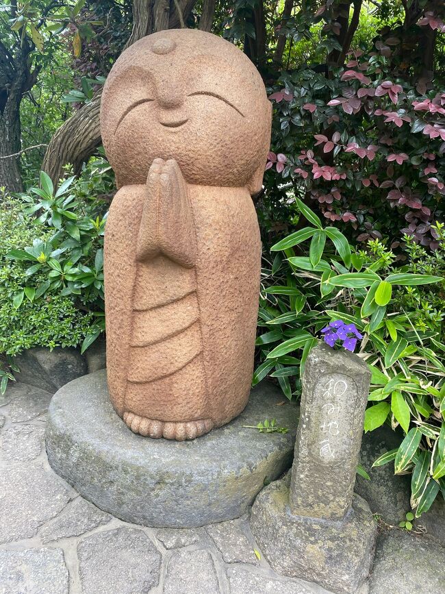 今年は鎌倉に紫陽花を見に行きました。<br /><br />コースは長谷寺ー鶴岡八幡宮ー建長寺―明月院<br />相も変わらずだらだらと写真をいっぱい撮ったので<br />前編と後編に分けます。<br />前編は<br />我が家から電車で横浜―鎌倉―長谷寺―鎌倉―鶴岡八幡宮までです。