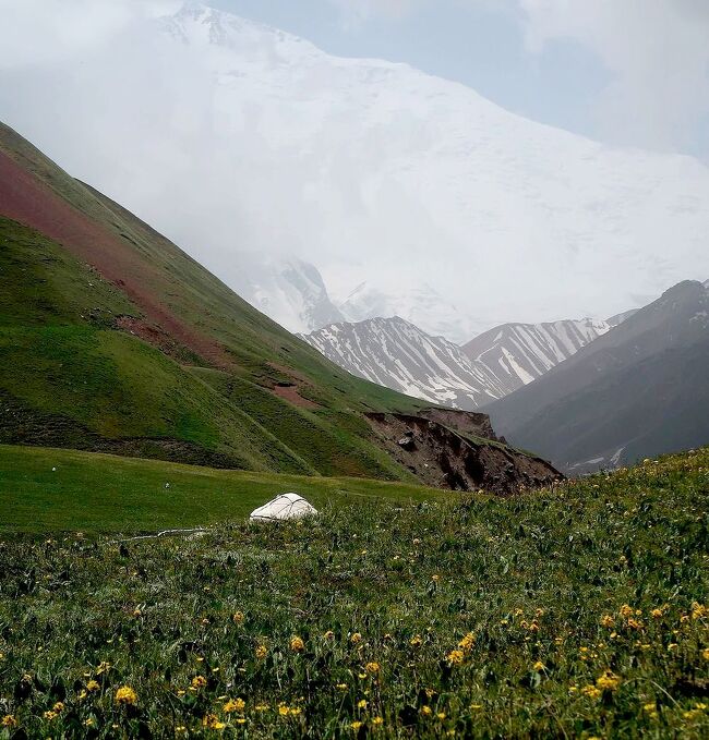 ２０２３年の海外旅行第二弾は、念願の中央アジア、カザフスタン・ウズベキスタン・キルギス３か国への旅。その中で一番の目的地はキルギス。旅行時期もキルギスの一番いい季節に合わせた。しかし、その結果カザフスタンのアルマトイ、ウズベキスタンのタシケントやサマルカンドは、猛暑の中の観光となっが、それでも何とか無事観光を終えることが出来た。その後、ウズベキスタンからキルギスへの入国でミスをしてしまったが、無事にキルギス入国を果たし、約二週間のキルギスの旅が始まることになった。<br />本編（その８）では、サリモゴルから宿のおじいさんが運転する車で標高3500ｍのTulpar kul lake(テュルパーレイク）まで日帰りでドライブし、軽いハイキングをしたときの旅行記です。二人ともすでに後期高齢者に入ったばかりで、へなちょこトレッカーなので、花や景色を撮影するだけでした。肝心のレーニン峰は、頂上付近に雲が湧いていて、辛うじて稜線が見え隠れする程度で、残念ながら不完全燃焼に終わってしまいました（表紙写真）。<br /><br />＜本旅行の大まかな日程(予定）＞<br /><br />6/16 成田ー＞アルマトイ（カザフスタン）<br />6/18 アルマトイー＞タシケント（ウズベキスタン）<br />6/19 タシケントー＞サマルカンド<br />6/20 サマルカンドー＞タシケント<br />6/21 タシケントー＞アンディジャンー＞オシ（キルギス）<br />　（　6/22～7/5　キルギス滞在　）<br />7/6 ビシュケク(キルギス）ー＞アルマトイ（カザフスタン）<br />7/7 アルマトイー＞成田（7/8)２<br /><br />