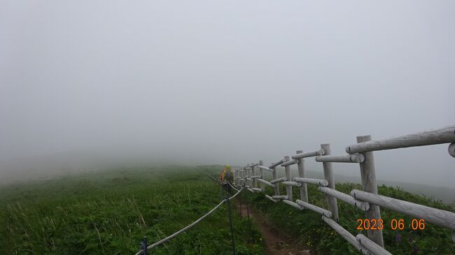 ハートランドフェリーで礼文島に到着。<br />午前中は定期観光バスで礼文島内を周遊。午後からは港から歩いて桃岩展望台へ。<br />桃岩展望台に到着後は、桃岩展望台コースを南に歩いてみたものの、霧がひどくて、周りの景色は全く見えない状況。途中で引き返すことにしました。<br />ただ、霧がひどくても、ハイキングコース沿い、足元に咲くお花は綺麗に見えます（遠くのお花は全く見えませんが）。<br />帰りのフェリーは17：10分に出港。<br />時間が余ったので、厳島神社や郷土資料館に行ってみました。<br />郷土資料館がとてもよかった！<br /><br />桃岩展望コースは、天候が良いときに再訪したいです！