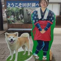 トラピックス　東北8つの秘湯巡り 4日間（4）「新玉川温泉」から最後の「乳頭温泉」に立ち寄り、田沢湖を経て角館で赤そばを食べて盛岡から帰る。