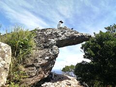 【島旅2023夏 2】石垣島 屋良部岳登山…やむを得ず、崎枝半島を一周ウォーキングとなりました