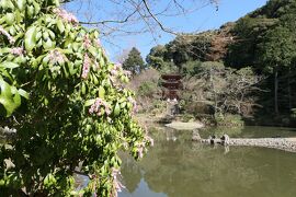 春のいざいざ奈良旅♪　Vol.334　木津川市：春の美しい「浄瑠璃寺」♪