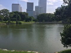 東京都心のオアシス浜離宮恩賜庭園を散策します