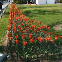 大通公園散策