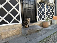 大人の修学旅行　飛騨高山篇