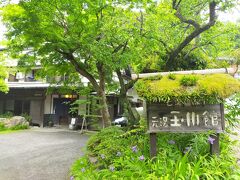 七沢温泉の元湯玉川館で、何もしない時を過ごす。