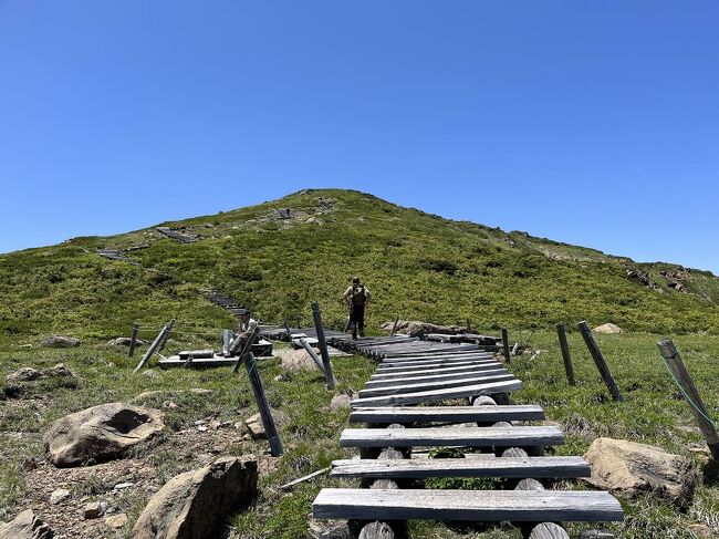 7月1日に開山されたばかりの至仏山に登ってきました。<br /><br />梅雨の合間の貴重な晴天。青空の下で湿原の緑や高山植物のお花畑、「これぞ夏の尾瀬」という風景が見れました。<br /><br />▼ブログ<br />https://bluesky.rash.jp/blog/hiking/shibutsusan2.html