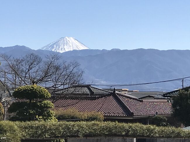 早春の山梨甲府、石和温泉の旅です。天気が良くて、富士山がきれいに見えました。