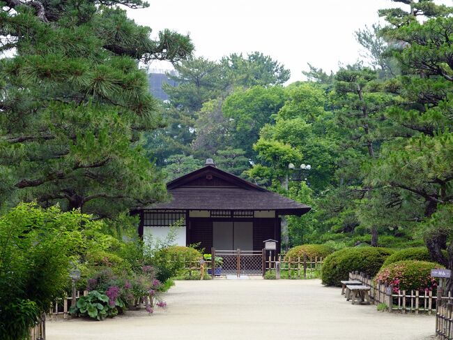 　広島の名勝・縮景園を訪ねます。<br />広島は何度も訪問していますが、縮景園は初めての訪問。<br />原爆の被害を受け、平成６年迄その復旧作業に努め、現在完全に復元修復された庭園。<br />　作庭は1620年、領主浅野家の庭園がスタート、その後何度かの改修を重ねて、現在の姿になったのは1788年。<br />　池を中心に大小の島を配し、複雑な水際に架かる橋、四阿や茶室等、変化に富んだ景勝を楽しむ池泉回遊式大名庭園に仕上がっています。<br />　それでは順路に従い一巡しましょう。<br /><br />　表紙は門を入った正面にある清風館。<br />　　庭園の母屋、数寄屋風書院造り。<br />　<br />