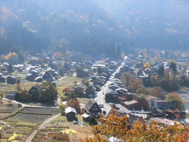 ツアー2日目は、白川郷です。以前行ったことがあるのですが、毛虫の大量発生で大変でしたが、今回はそんなこともなく、ゆっくり過ごせることができました。<br />白川郷民家園が思いのほかよかったです。<br /><br />・飛騨国分寺大イチョウ<br />・高山朝市<br />・合掌造り民家園<br />・白川郷合掌造り集落<br />・萩町城跡展望台<br />