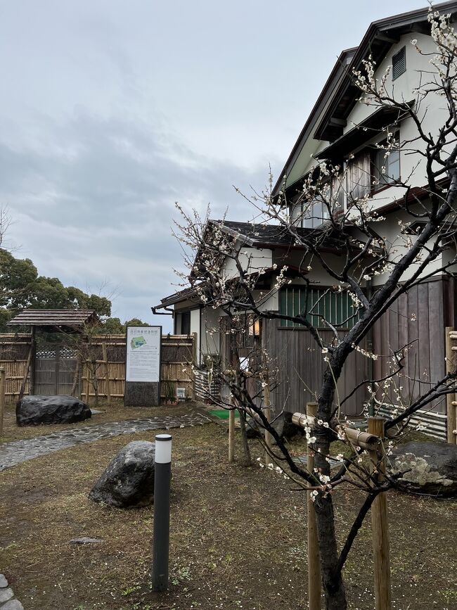 熱海訪問がブルーノ・タウトの旧日向家熱海別邸の公開日にあたっていたので、見学を事前予約しておきました。<br /><br />タウトは１９３３年に来日しましたが、日本では建築家としての仕事には恵まれず、この旧日向家熱海別邸が日本での唯一の作品です。<br /><br />旧日向邸は１９３６年に竣工していますが、同年、タウトは日本を後にしてトルコへと旅立っています。<br /><br /><br /><br /><br />