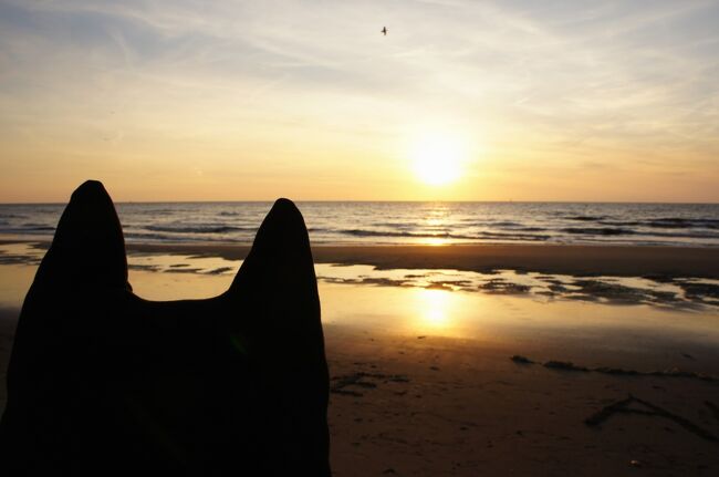 ＃５アールヌーボー探し2011GW～わ～い、絵本の世界♪の砂浜で夕焼け！～
