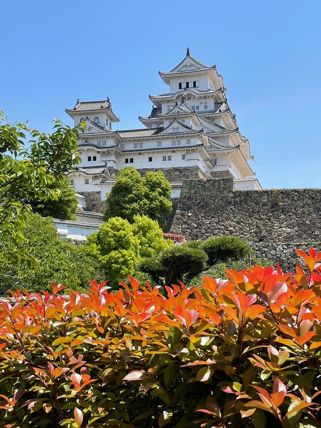 最終日は世界遺産の姫路城を見学した後、姫路から新幹線で帰京しました。<br />全日、お天気に恵まれ、連休明けと言う事もあり、旅館は貸し切りの所もあり、思い出に残る良い旅になりました。