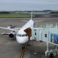 ANAで行く土佐高知の旅