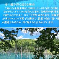 東京から超簡単、日帰り富良野。無料のラベンダー畑は、アジア人客のパラダイス