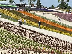 ⑪ マダムのさわやか札幌ステイ７日間　４日目の１　三段滝公園～四季彩の丘