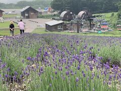 玉原ラベンダーパーク