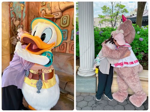 東京ディズニーリゾート☆デイジーダックぬいぐるみキーホルダー 東京ディズニーリゾート☆デイジーダックぬいぐるみキーホルダー