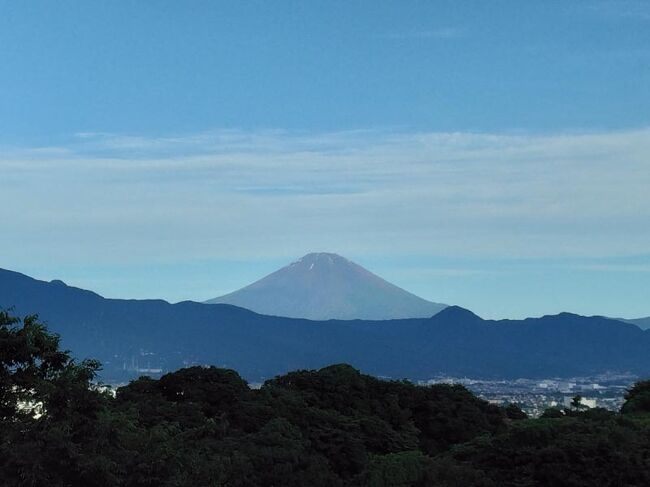 最近出無精気味、4TR旅行記もUP出来ず又当分旅行計画もないので蜜柑山散歩で気に入った風景を見て頂きたいと投稿しました。７月２日は梅雨時には稀な好天気に成り景色は最高に奇麗でした。<br />富士山もこの数日で夏山に姿を変えていました。少し山頂付近は雪が見えますがこれもアクセントに成り美しい富士山となっていました、相模湾の遠くには伊豆大島・利島・初島や付近の半島数島も良く見えました。蜜柑山と青い空と流れ雲も奇麗でした。